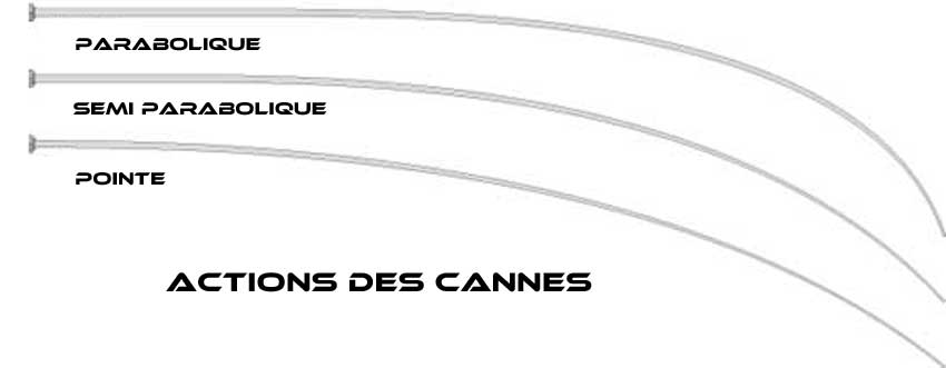 action-cannes