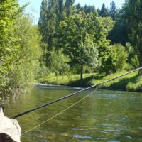 Au dessus du no kill 500m