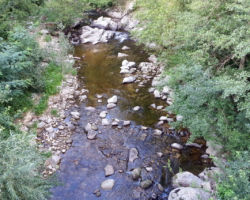 No kill de l'Ay Ardèche