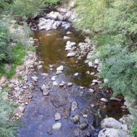 No kill de l'Ay Ardèche