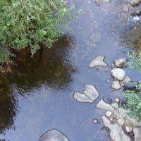 No kill de l'Ay Ardèche