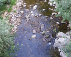 No kill de l'Ay Ardèche