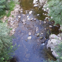 No kill de l'Ay Ardèche