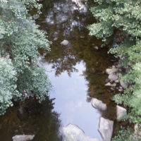 No kill de l'Ay Ardèche