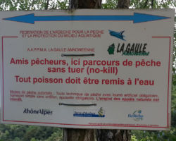 No kill de l'Ay Ardèche