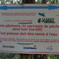 No kill de l'Ay Ardèche