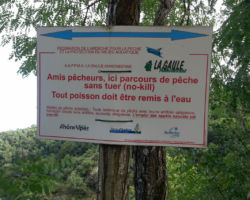 No kill de l'Ay Ardèche