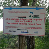 No kill de l'Ay Ardèche