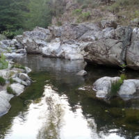 No kill de l'Ay Ardèche