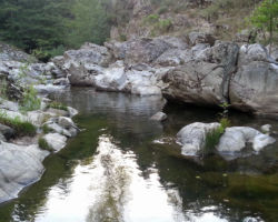No kill de l'Ay Ardèche