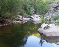 No kill de l'Ay Ardèche