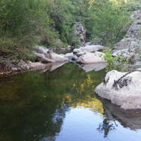 No kill de l'Ay Ardèche