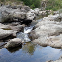 No kill de l'Ay Ardèche