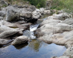 No kill de l'Ay Ardèche