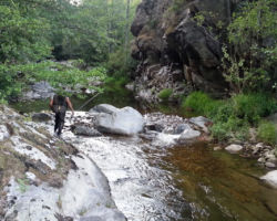 No kill de l'Ay Ardèche