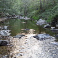 No kill de l'Ay Ardèche