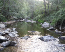 No kill de l'Ay Ardèche