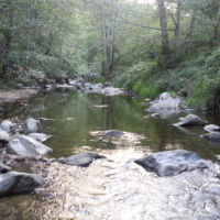 No kill de l'Ay Ardèche