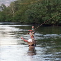 Olivier au partage des eaux