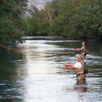 Olivier au partage des eaux