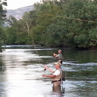 Olivier au partage des eaux