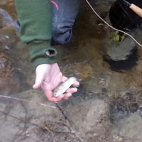 Journée ouverture 2014