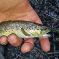 Journée ouverture 2014