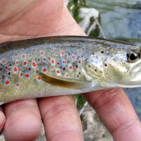 Journée ouverture 2014