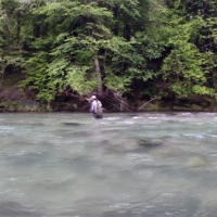 No kill de Saint Géron