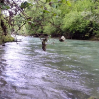 No kill de Saint Géron