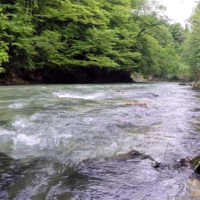 No kill de Saint Géron