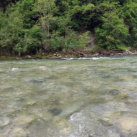 No kill de Saint Géron