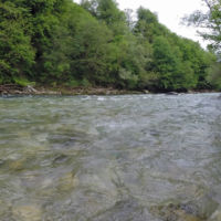 No kill de Saint Géron