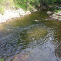 No kill la Cance Ardèche